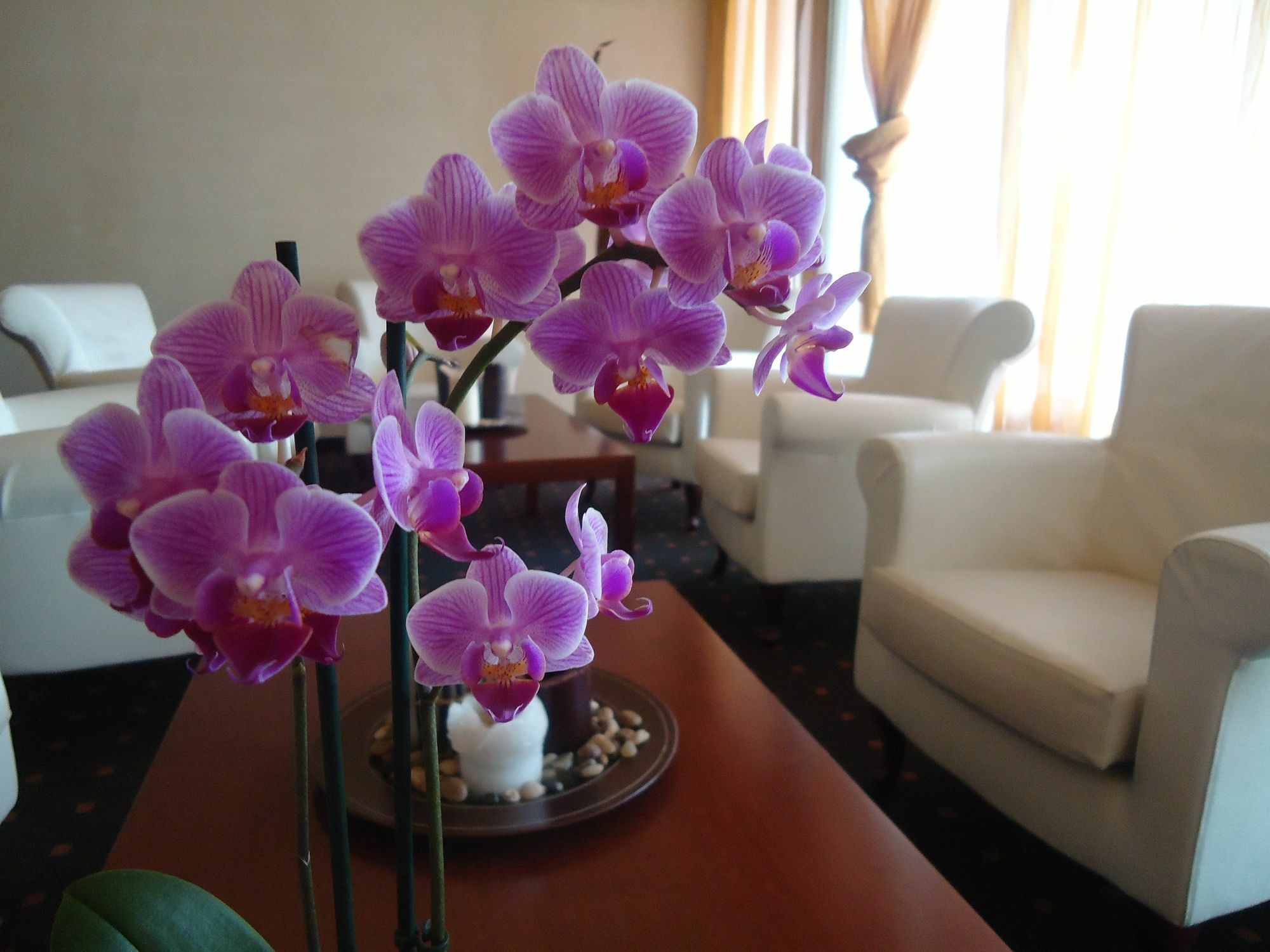 Ch Hotel Giada Inn أريسي المظهر الخارجي الصورة